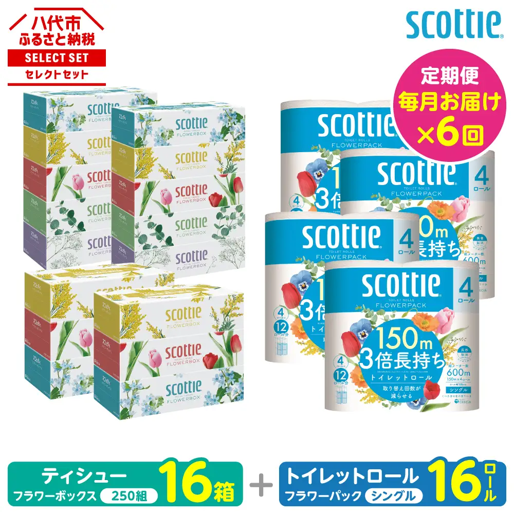 【定期便6回】【毎月お届け】【スコッティ】 組み合わせ ティシュー フラワーボックス 250組 16箱 計96箱 トイレットロール シングル フラワーパック 3倍長持ち 16ロール 計96ロール ティッシュ トイレットペーパー 日用品 ストック 防災備蓄 ストック 備蓄 新生活 防災 消耗品 生活用品 日用消耗品 箱ティッシュ