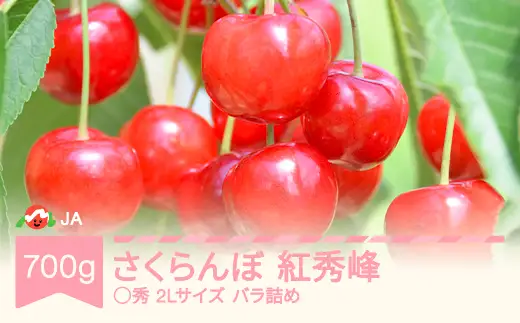 先行予約 さくらんぼ 紅秀峰 ja-bsslb700