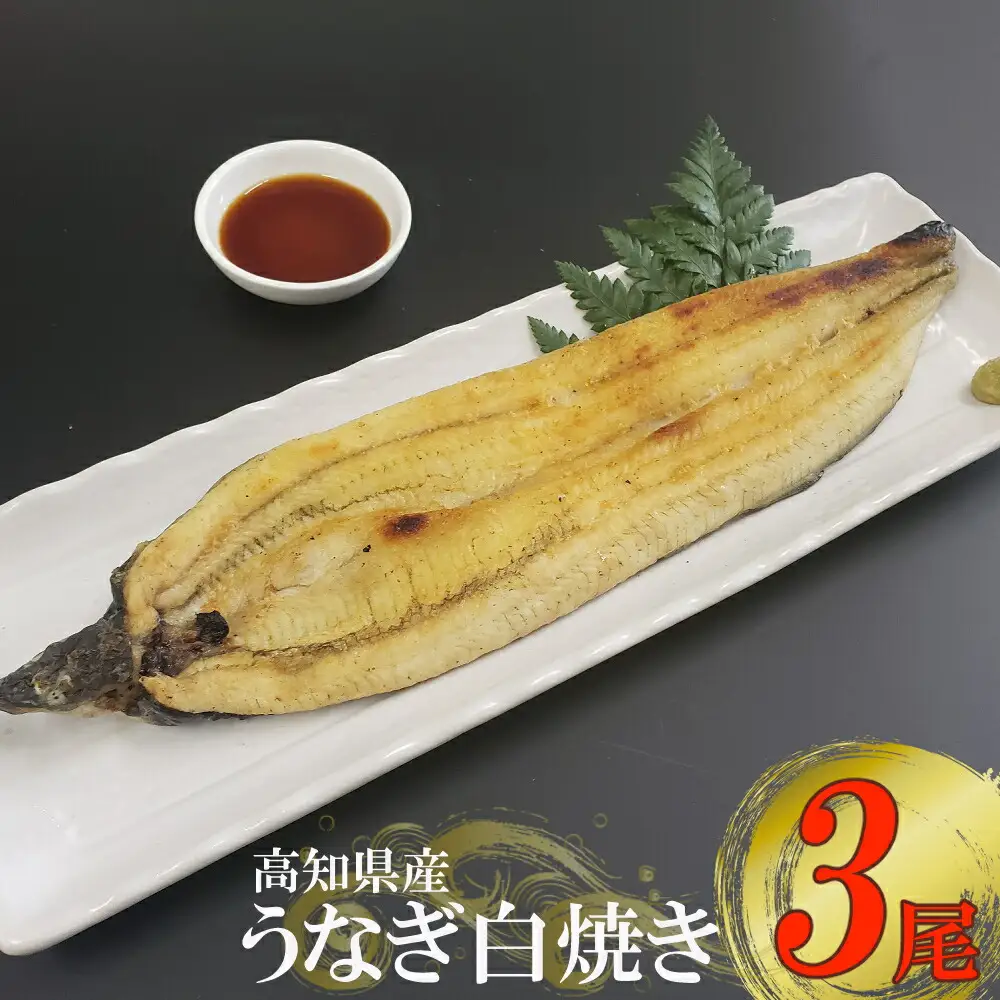 高知県産うなぎ 白焼き 3尾（約170g） 白焼き yj036