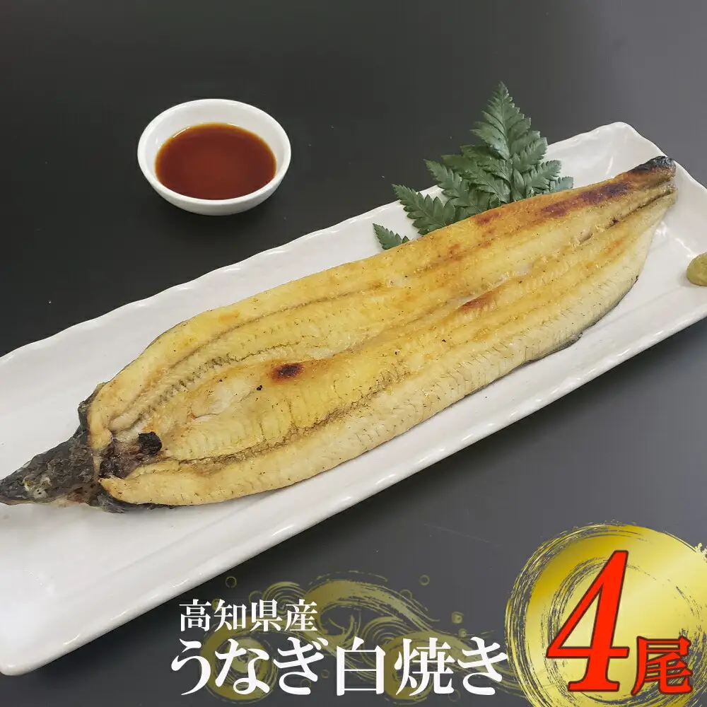 高知県産うなぎ 白焼き 4尾（約170g） 白焼き yj037