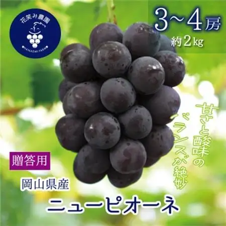 岡山　花笑み農園の『ニューピオーネ』贈答用　約2kg (3～4房) P-2上【配送不可地域：離島】【1650734】