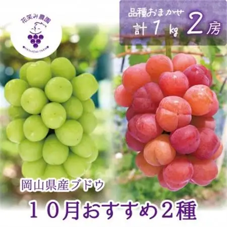 岡山　花笑み農園のブドウ『10月おすすめ 2種セット』1kg　2M-1L【配送不可地域：離島】【1650775】
