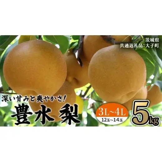 茨城県産 梨 豊水 サイズ おまかせ （ 3L～4L ） 5kg （ 12～14玉 ） 【2026年9月上旬発送開始】 (茨城県共通返礼品：大子町)