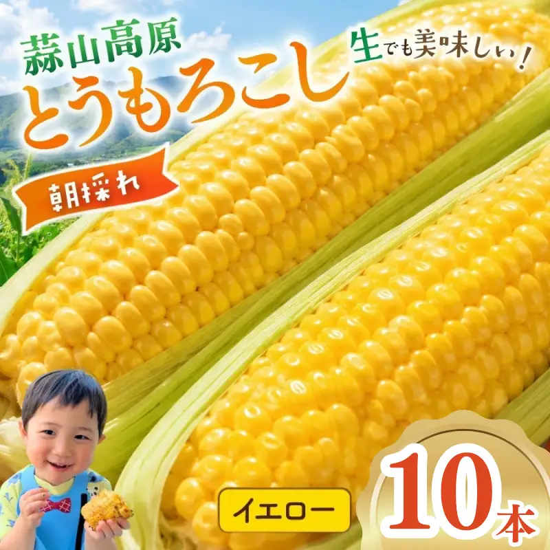 とうもろこし 蒜山高原産 朝採れイエローコーン とうもろこし10本 【jujy001-02】