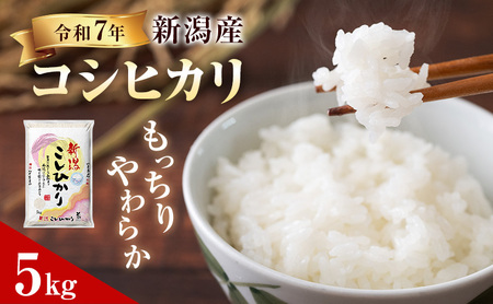 コシヒカリ 新潟県産 5㎏ 米 産地直送 コシヒカリ