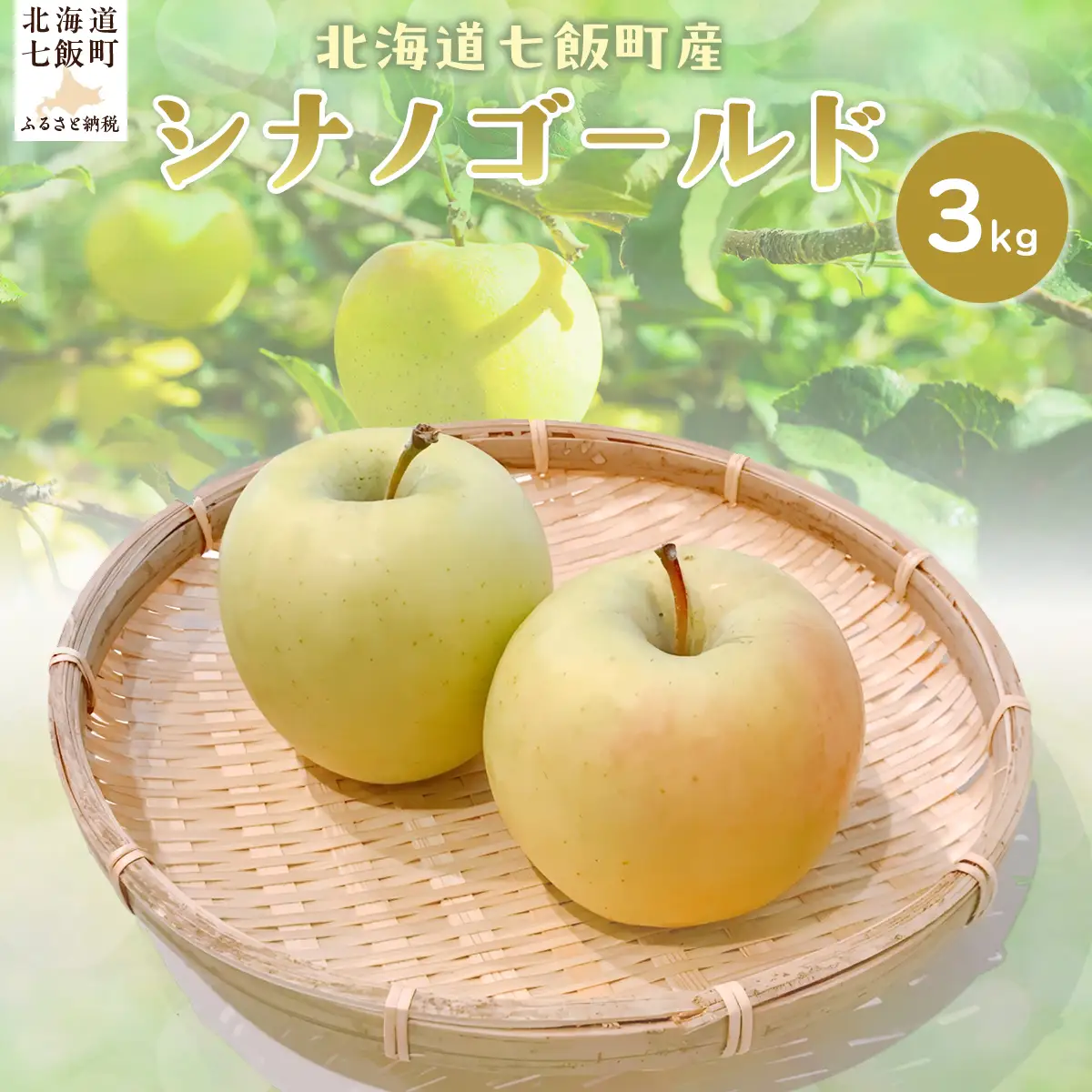 【先行予約】【2027年1月上旬以降発送】シナノゴールド3kg NAJ004 