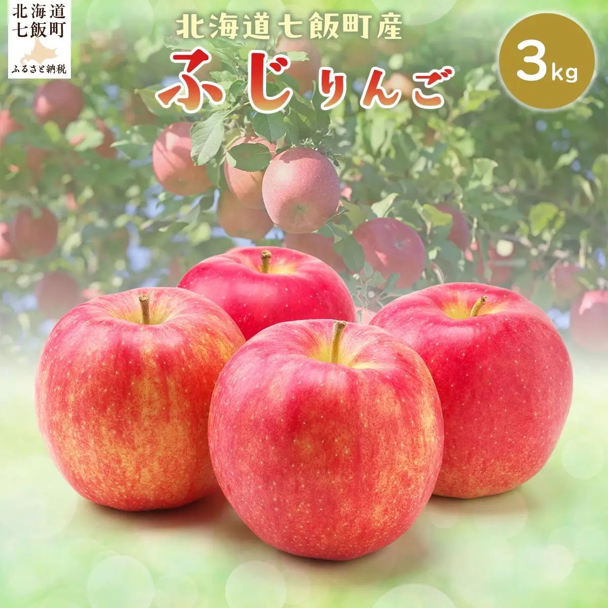 【先行予約】【2026年12月下旬以降発送】ふじ3kg NAJ005 