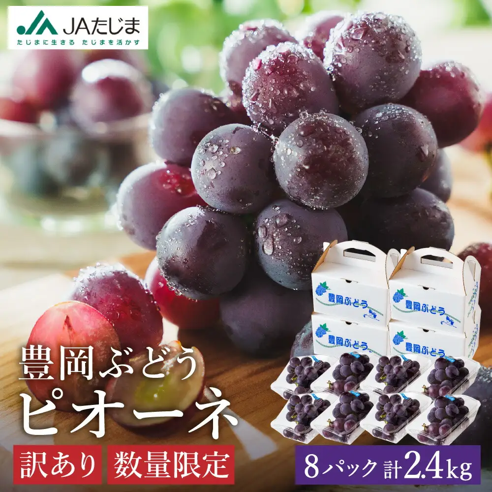 【2026年先行予約】数量限定 訳あり 豊岡ぶどう「ピオーネ」 約300g×8パック ／ ぴおーね ブドウ 葡萄 訳ありぶどう 大粒 強い甘み 爽やかな酸味 新鮮 果物 産地直送 くだもの フルーツ 上品 香り