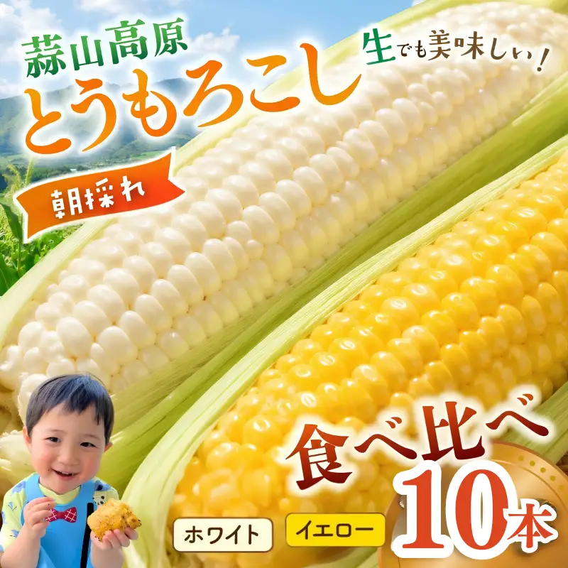 とうもろこし 蒜山高原産 朝採れとうもろこし10本 (イエロー5本 ホワイト5本) 【jujy003-02】