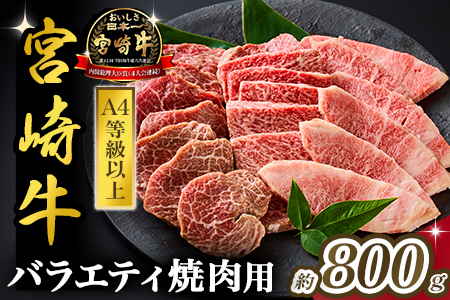 【西ノ原牧場直送】大人気！A4等級以上宮崎牛バラエティ焼肉用 800g（国産 国産牛 肉 牛肉 宮崎牛 黒毛和牛 お肉 ロース 焼肉 内閣総理大臣賞4大会連続受賞 特別提供）