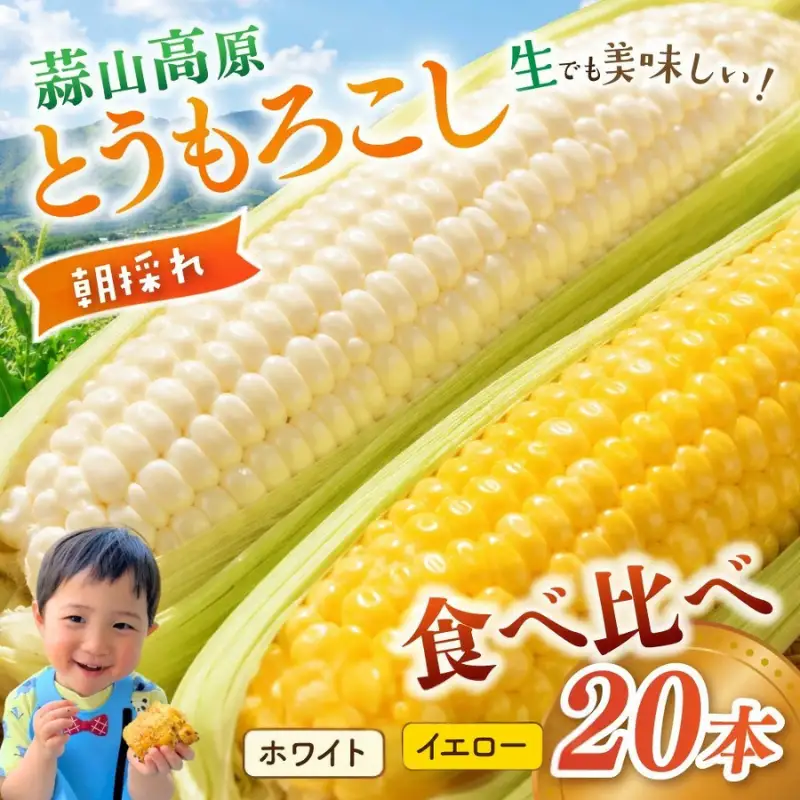 とうもろこし 蒜山高原産 朝採れとうもろこし20本 (イエロー10本 ホワイト10本) 【jujy004-02】