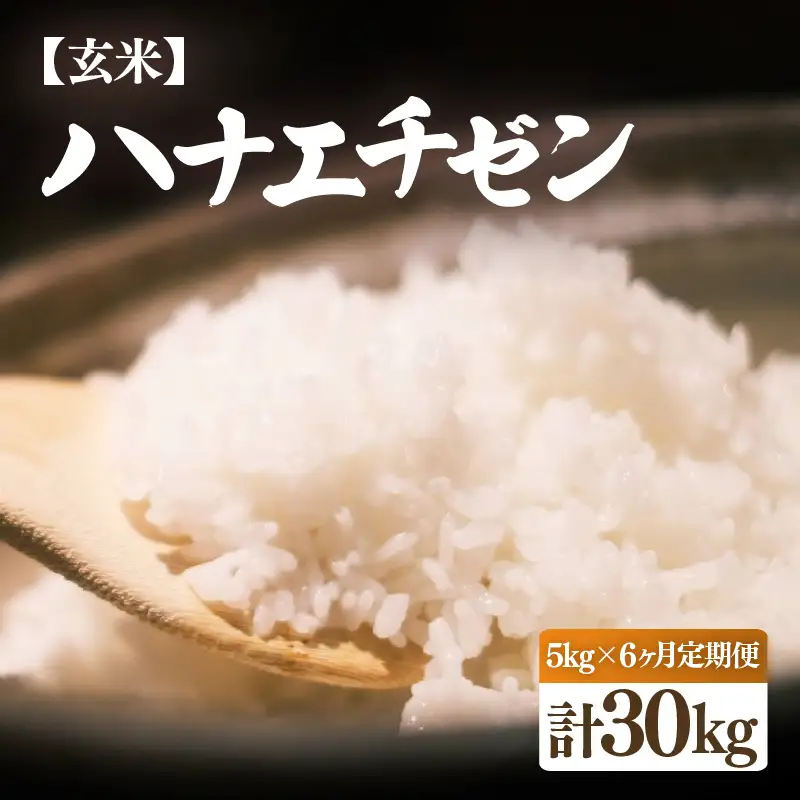 【先行予約】【令和8年産・新米】定期便 ≪6ヶ月連続お届け≫ ハナエチゼン 5kg × 6回（計30kg）【玄米】【2026年10月中旬以降順次発送】 [e26-f001_02]