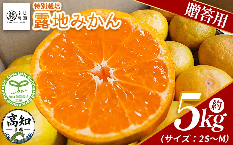【2026年10月以降順次配送分】【特別栽培みかん】ふじ農園の露地みかん 贈答用 5kg (2S～M)【フルーツ フルーツ フルーツ フルーツ フルーツ】 fn-0010