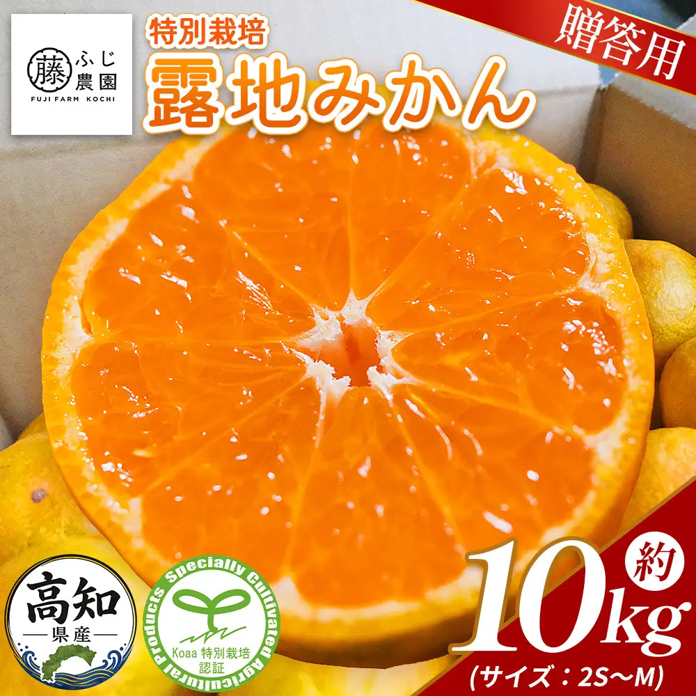 【2026年10月以降順次配送分】【特別栽培みかん】ふじ農園の露地みかん 贈答用 10kg (2S～M) 特別栽培 果物 フルーツ fn-0011