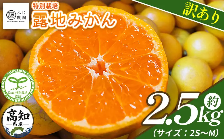 【2026年10月以降順次配送分】ふじ農園の露地みかん 訳あり品 2.5kg (2S～M) 【柑橘 柑橘 柑橘 柑橘 柑橘】 fn-0012