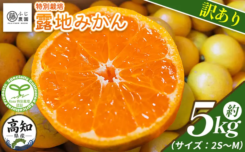 【2026年10月以降順次配送分】ふじ農園の露地みかん 訳あり品 5kg (2S～M)【くだもの くだもの くだもの くだもの くだもの】 fn-0013