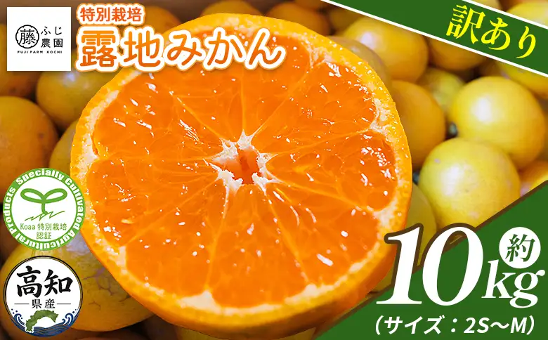 【2026年10月以降順次配送分】ふじ農園の露地みかん 訳あり品 10kg (2S～M)【みかん みかん みかん みかん みかん】 fn-0014