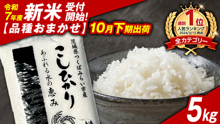 ＼ 新米先行予約 ／【10月下期出荷】品種おまかせ 5kg 茨城県つくばみらい市産 精米 こしひかり コシヒカリ あきたこまち ひとめぼれ ふくまる ゆめひたち ミルキークイーン にじのきらめき 米 コメ こめ 単一米 限定 茨城県産 国産 美味しい お米 おこめ おコメ