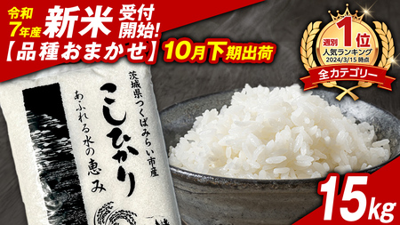 ＼ 新米先行予約 ／【10月下期出荷】品種おまかせ 15kg