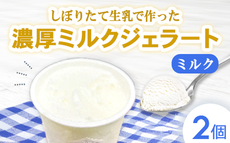 しぼりたて生乳で作った濃厚ミルクジェラート 2個セット ジェラート シャーべット アイスクリーム アイス 生乳 ミルク ジェラート クリーミー デザート 氷菓子 スイーツ 濃厚 冷凍 佐賀県 太良町 LA6