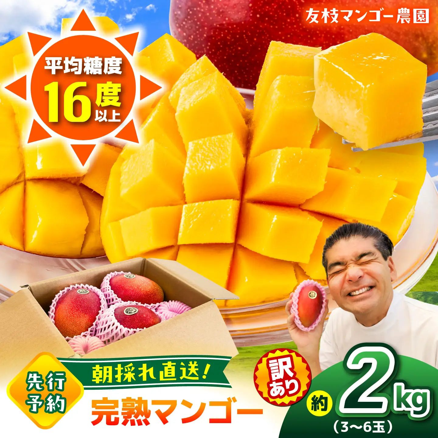 【2027年6月上旬から順次発送】友枝マンゴー農園の完熟訳ありマンゴー約2kg AYDF002