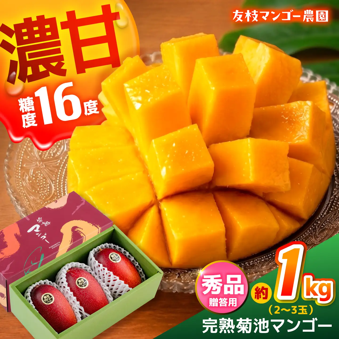 【2027年6月上旬から順次発送】より発送 菊池マンゴー約1kg マンゴー AYDF003