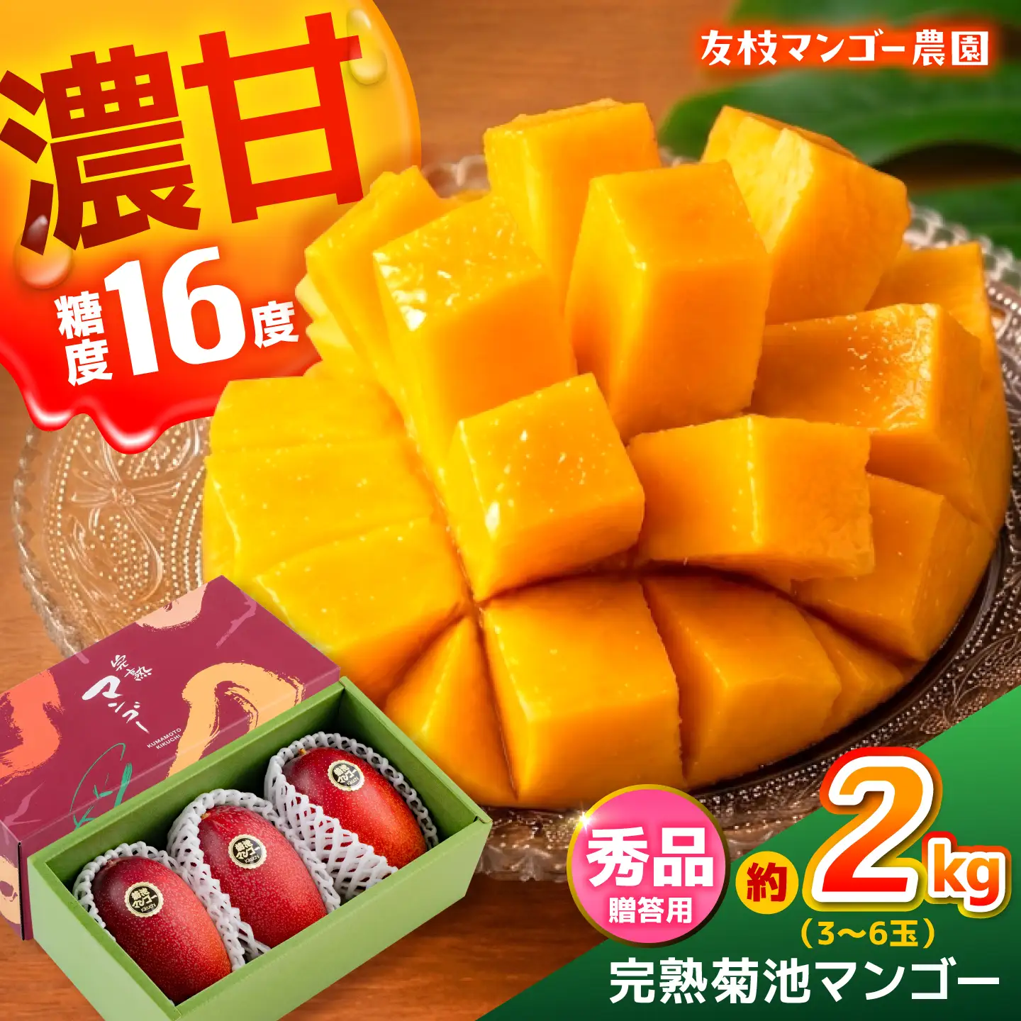 【2027年6月上旬から順次発送】秀品 菊池マンゴー約2kg 友枝マンゴー農園[AYDF004]