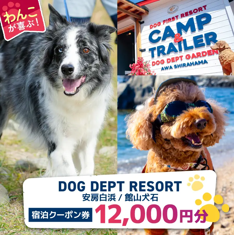 DOG DEPT RESORT 安房白浜/館山犬石 共通チケット 宿泊クーポン券（12,000円分） mi0111-0001-3