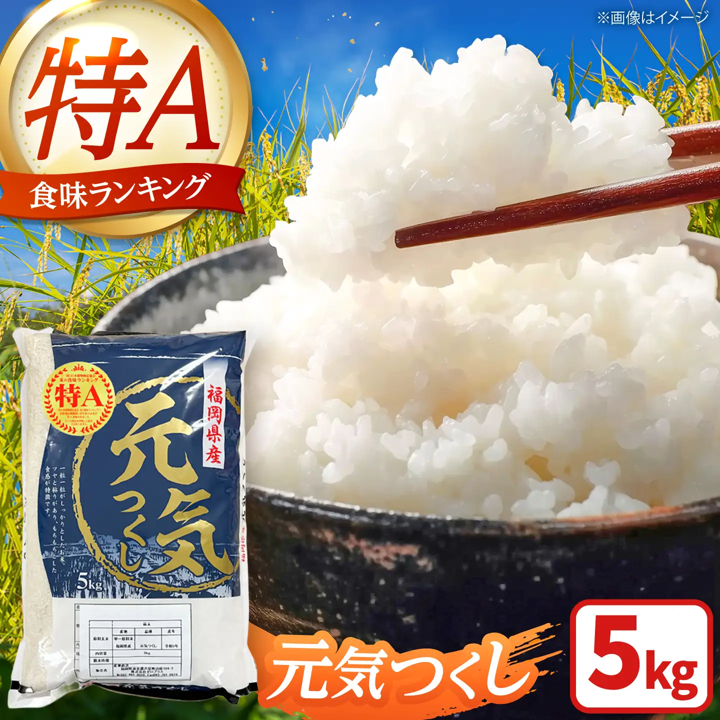 【先行予約】【令和7年産】元気つくし 白米 5kg [BGAA090] 元気つくし