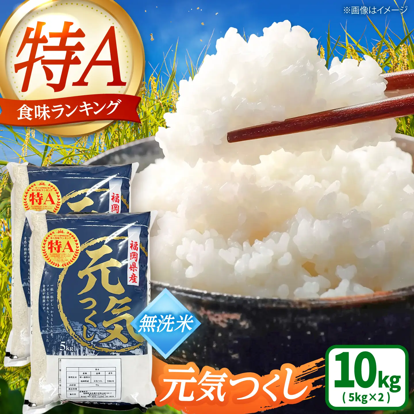 【先行予約】【令和7年産】元気つくし無洗米10kg(5kg×2袋)[BGAA093] 元気つくし