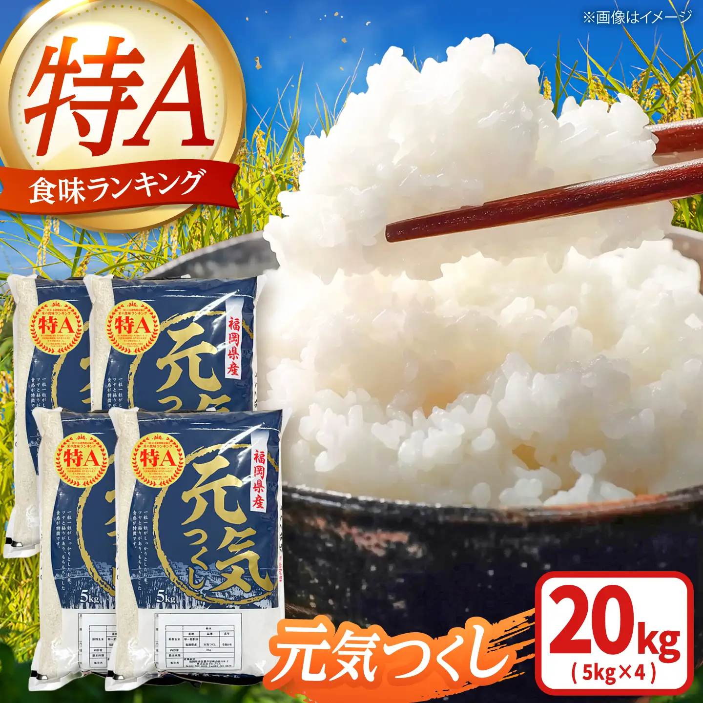 【先行予約】【令和7年産】元気つくし白米20kg(5kg×4袋)[BGAA094] 大容量 大容量