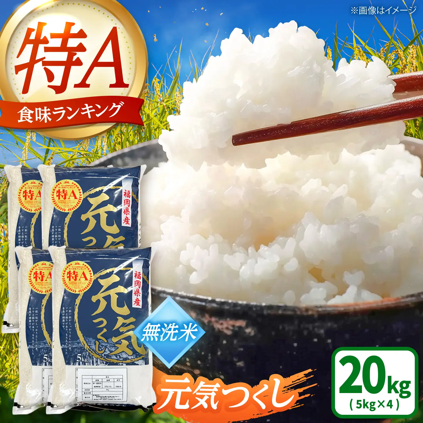 【先行予約】【令和7年産】元気つくし無洗米20kg(5kg×4袋)[BGAA095] 大容量 無洗米 元気つくし 大容量