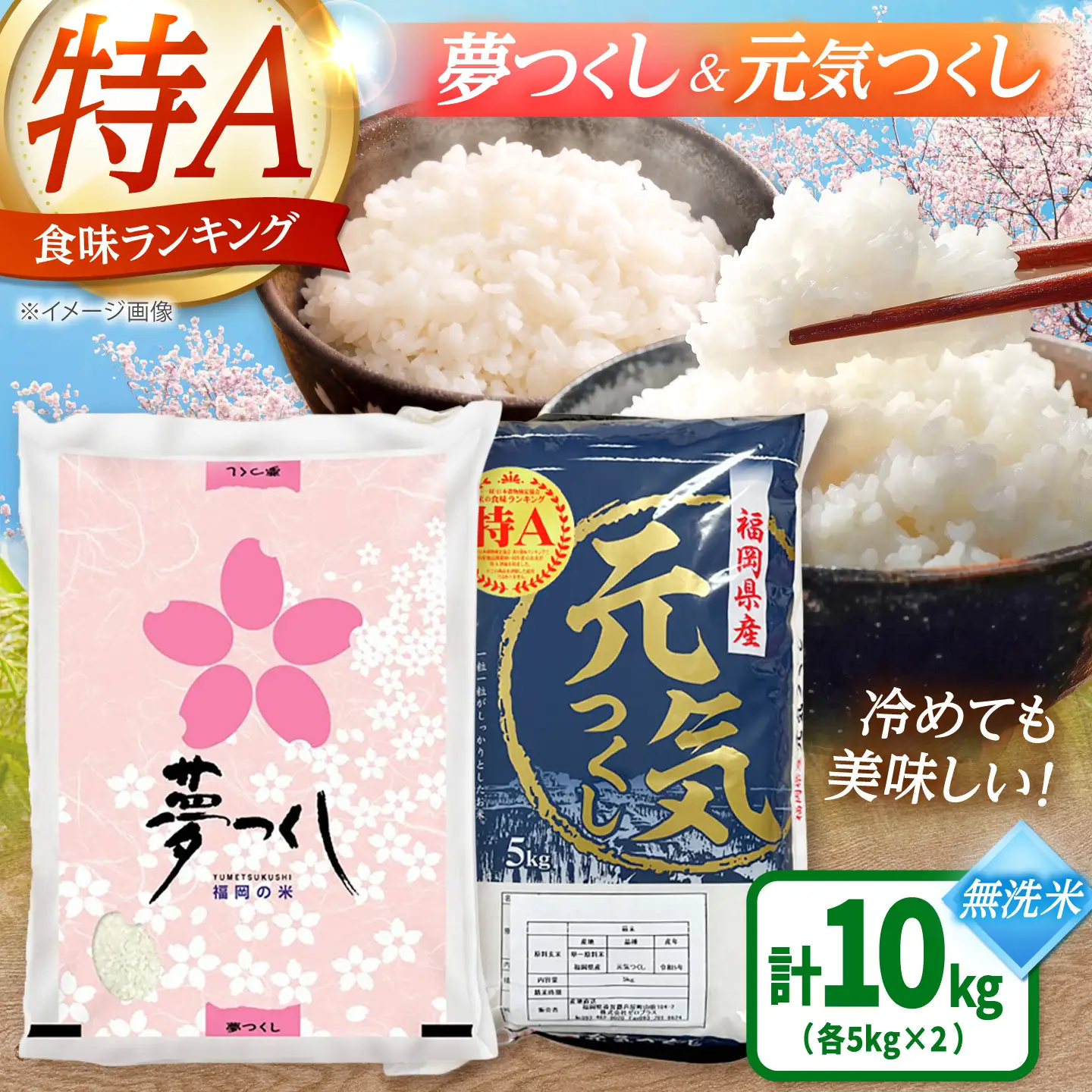 【先行予約】【令和7年産】福岡県産米食べ比べ【無洗米】夢つくしと元気つくしセット 計10kg[BGAA097]白米 食べ比べ 白米 食べ比べ
