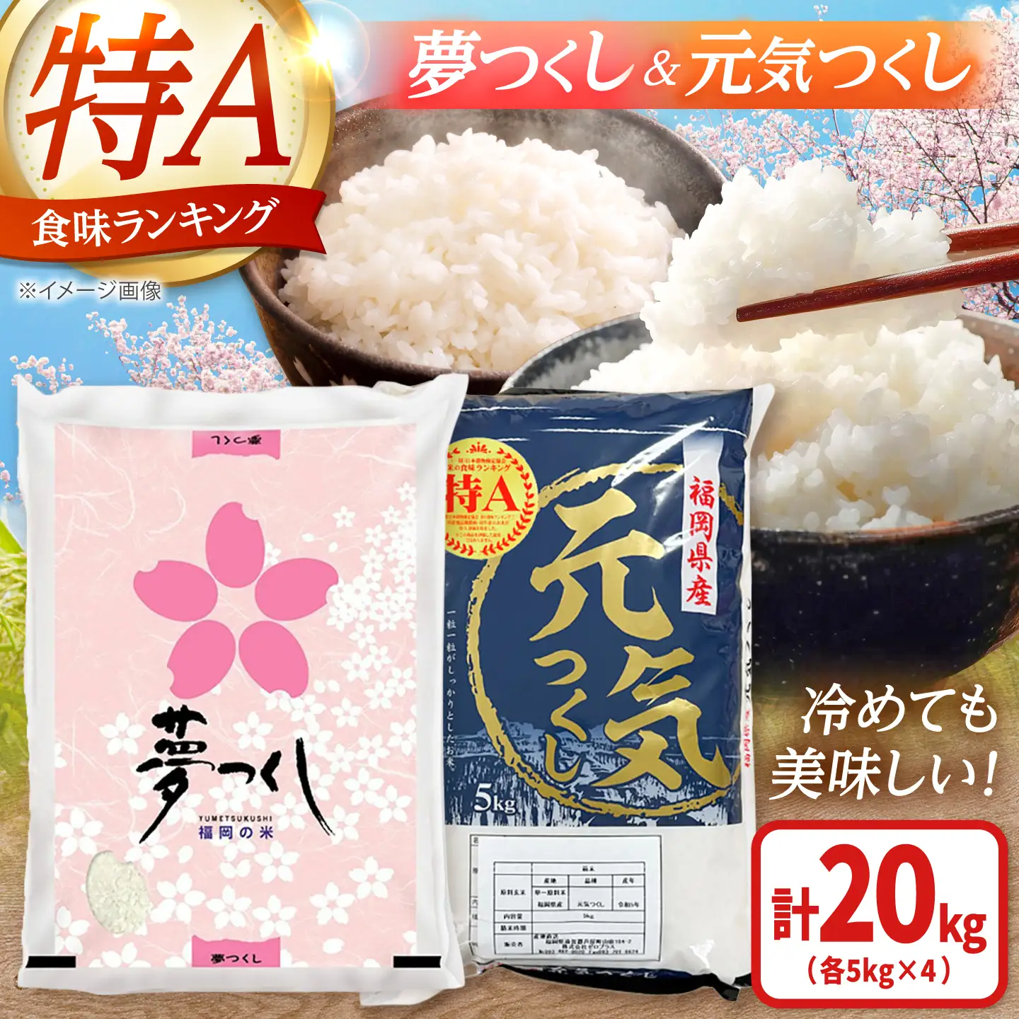 【先行予約】【令和7年産】福岡県産米食べ比べ【白米】夢つくしと元気つくしセット 計20kg[BGAA098]白米 食べ比べ 白米 食べ比べ