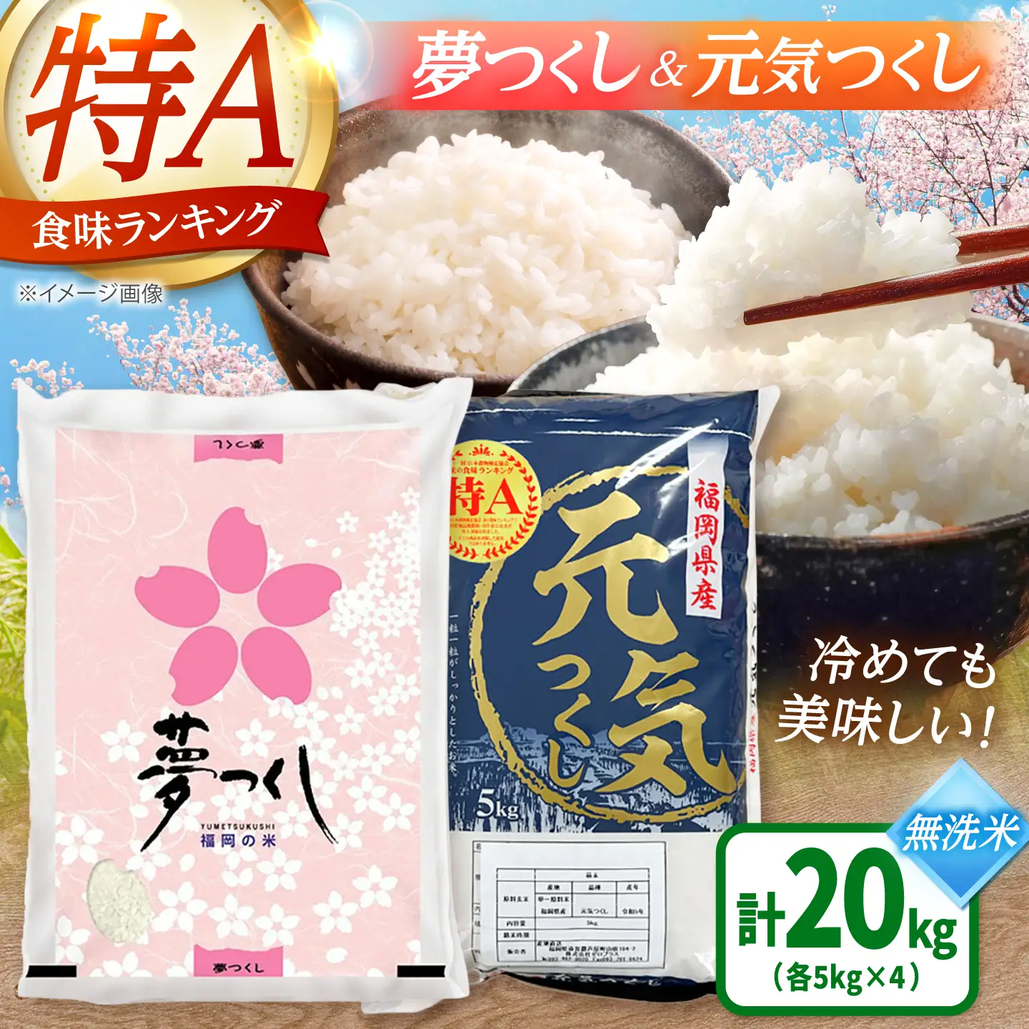 【先行予約】【令和7年産】福岡県産米食べ比べ【無洗米】夢つくしと元気つくしセット 計20kg[BGAA099]白米 食べ比べ 白米 食べ比べ