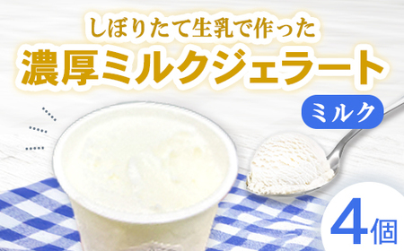 しぼりたて生乳で作った濃厚ミルクジェラート 4個セット ジェラート シャーべット アイスクリーム アイス 生乳 ミルク ジェラート クリーミー デザート 氷菓子 スイーツ 濃厚 冷凍 佐賀県 太良町 M115