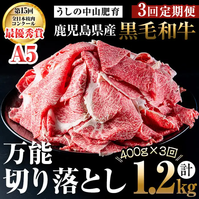 【定期便全3回】＜A4・A5等級＞黒毛和牛堪万能切り落とし肉 計1.2kg（400g×1P・全3回） 黒毛和牛 和牛 切り落とし 肉 牛肉 国産 九州産 鹿児島県産 すき焼き しゃぶしゃぶ 牛丼 小分け A5 日本一 ランキング 人気 定期便 t0039-005