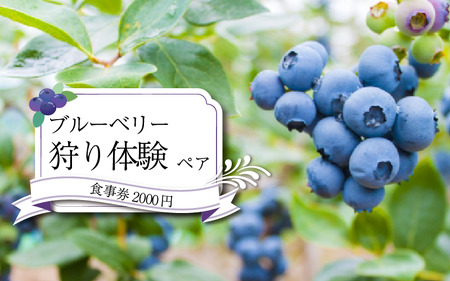 ブルーベリー 狩り 体験 チケット2枚 食事券 2000円 祖谷かずら橋 観光 【 観光 】