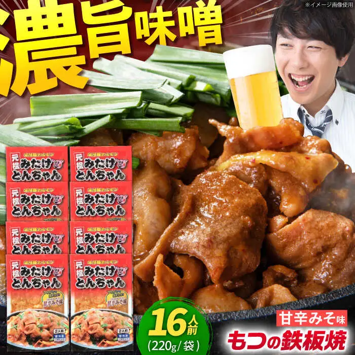 岐阜県産豚もつの鉄板焼き「元祖みたけとんちゃん」甘辛みそ味（16人前）[AVAA044]ホルモン おすすめ