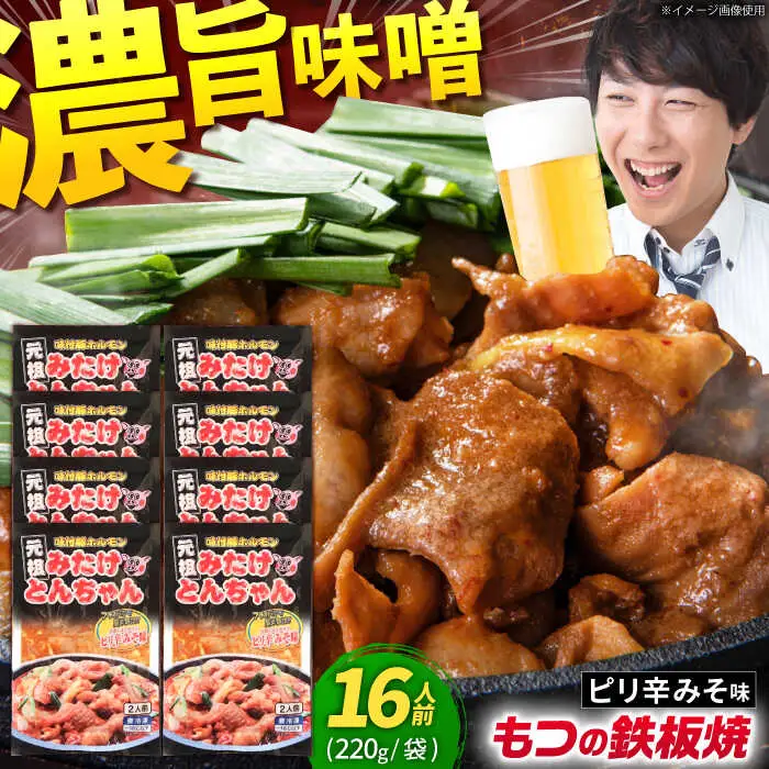 岐阜県産豚もつの鉄板焼き「元祖みたけとんちゃん」ピリ辛みそ味（16人前）[AVAA045]ホルモン おすすめ