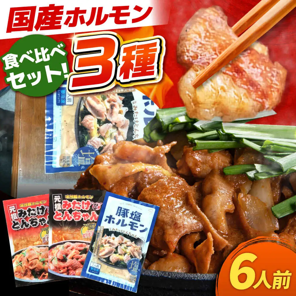 「元祖みたけとんちゃん」 3種セット（6人前）[AVAA056]ホルモン 食べ比べ
