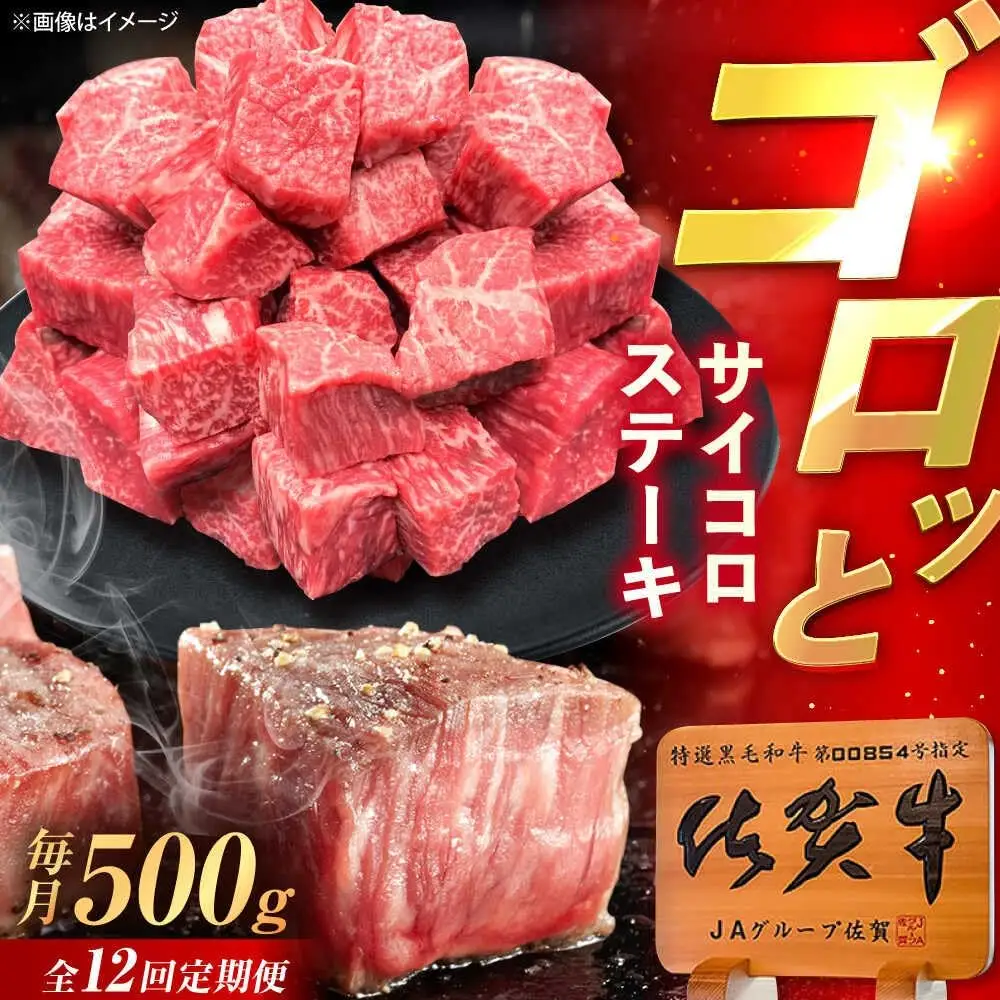【12回定期便】佐賀牛 サイコロステーキ 500g /MKミート武雄[UEM027] ステーキ