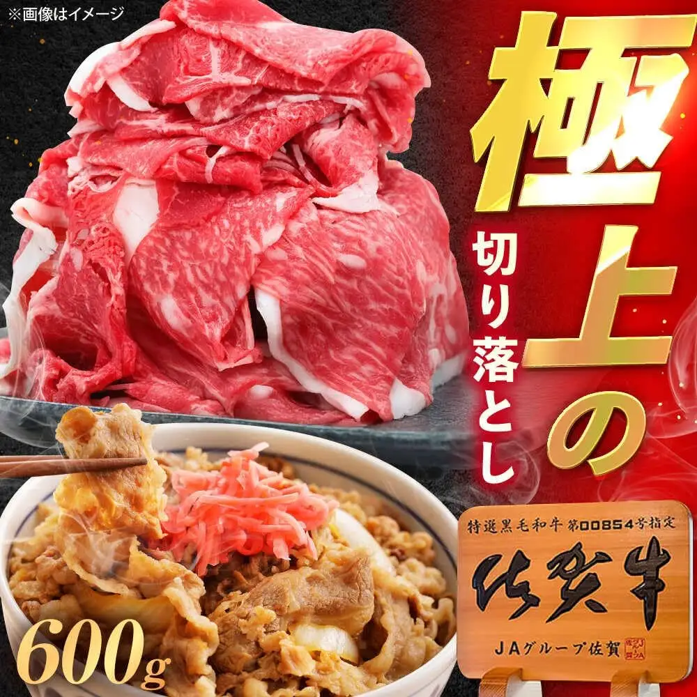 佐賀牛 牛肉切り落とし 600g /MKミート武雄[UEM030] 牛肉切り落とし
