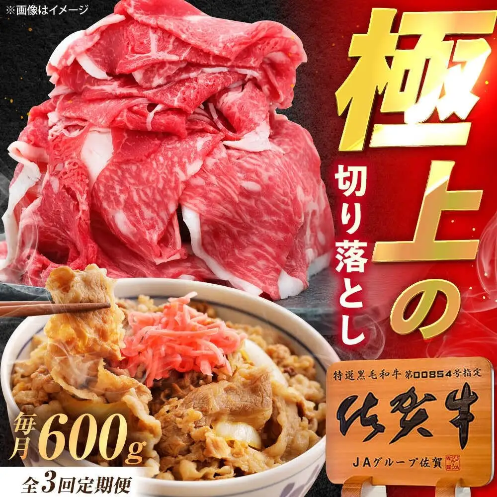 【3回定期便】佐賀牛 切り落とし 600g /MKミート武雄[UEM031] 切り落とし