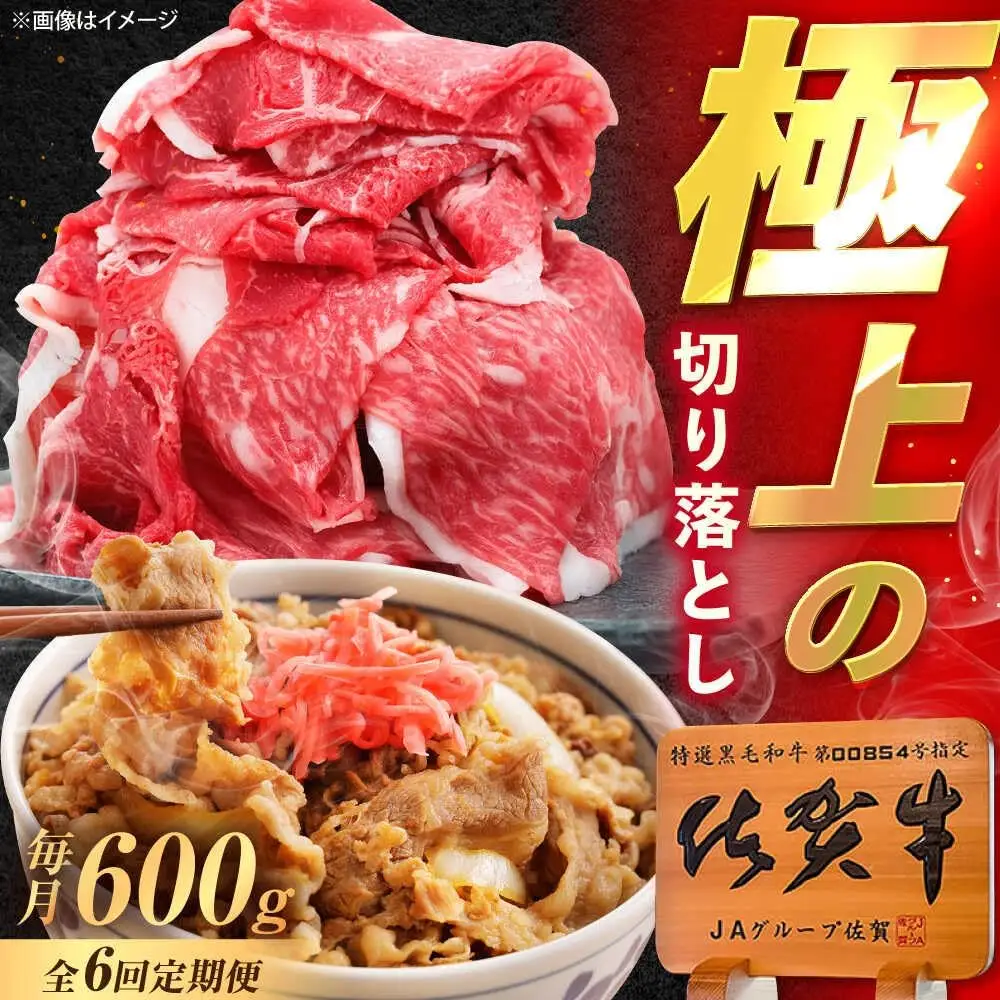 【6回定期便】佐賀牛 切り落とし 600g /MKミート武雄[UEM032] 切り落とし