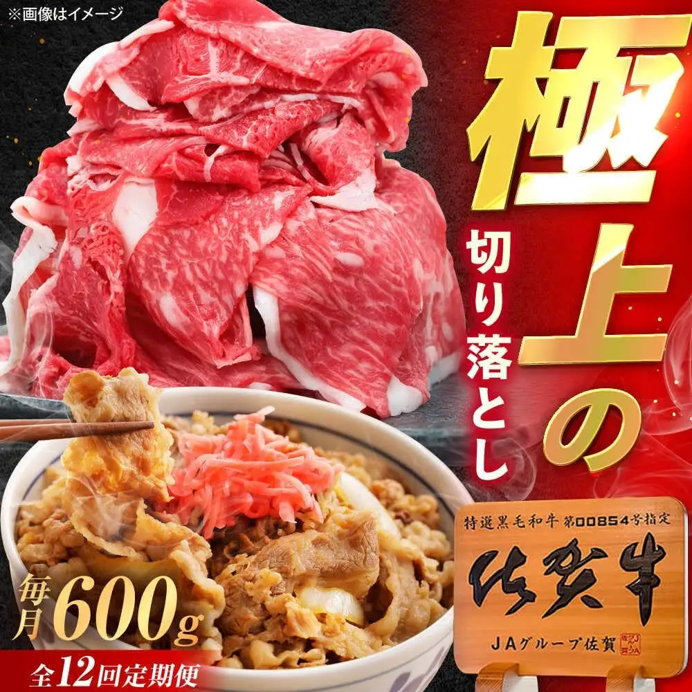 【12回定期便】佐賀牛 切り落とし 600g /MKミート武雄[UEM033] 佐賀牛 切り落とし