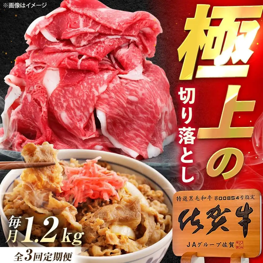 【3回定期便】佐賀牛 切り落とし 1.2kg /MKミート武雄[UEM035] 牛肉 切り落とし
