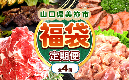 【 定期便 】美祢市の旬 ・ お得な福袋（ 全4回 ）