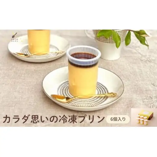 カラダ思いの冷凍プリン 6個 セット【ひみつのひとさじ】