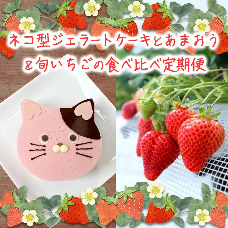 いちご ジェラートケーキ あまおう 白木のいちご いちご【各2パック】【定期便 全2回】